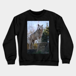 Wolf Crewneck Sweatshirt